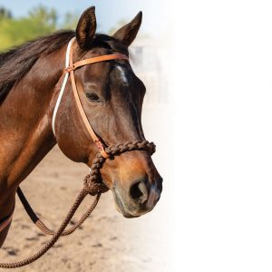 Loping Hackamore