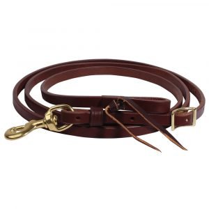 Heavy Oil Ranch Single Rein